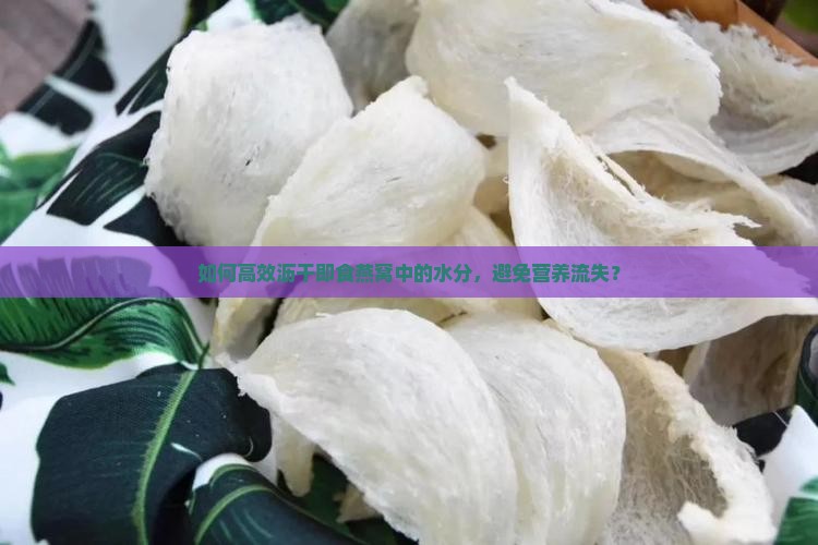 如何高效沥干即食燕窝中的水分，避免营养流失？