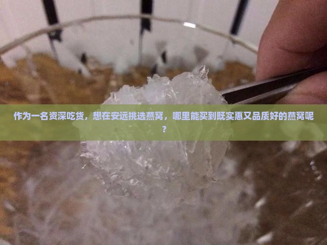 作为一名资深吃货，想在安远挑选燕窝，哪里能买到既实惠又品质好的燕窝呢？
