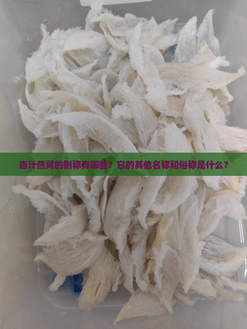 杏汁燕窝的别称有哪些？它的其他名称和俗称是什么？