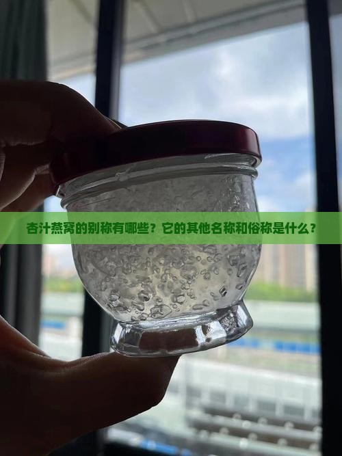 杏汁燕窝的别称有哪些？它的其他名称和俗称是什么？
