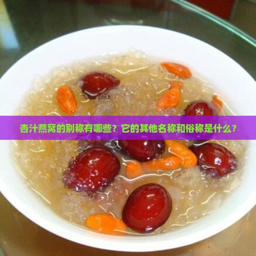 杏汁燕窝的别称有哪些？它的其他名称和俗称是什么？