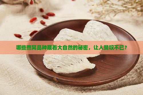 哪些燕窝品种藏着大自然的秘密，让人赞叹不已？