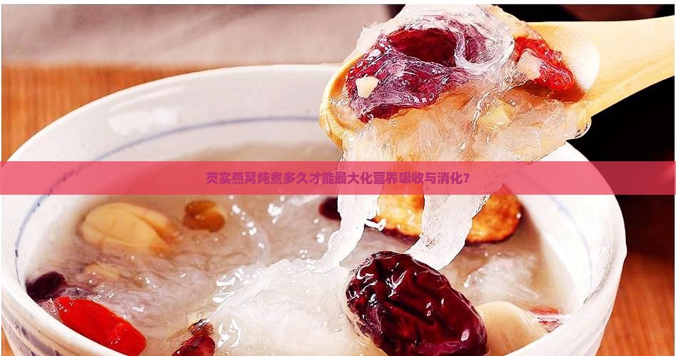 芡实燕窝炖煮多久才能最大化营养吸收与消化？