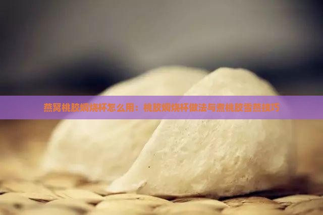 燕窝桃胶焖烧杯怎么用：桃胶焖烧杯做法与煮桃胶雪燕技巧