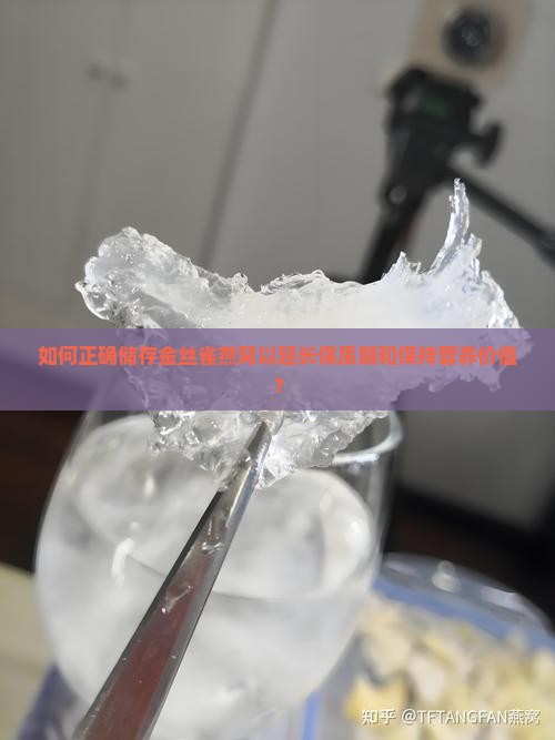 如何正确储存金丝雀燕窝以延长保质期和保持营养价值？