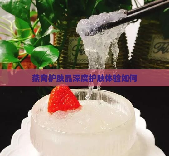 燕窝护肤品深度护肤体验如何