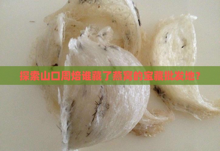 探索山口周焙谁藏了燕窝的宝藏批发地？