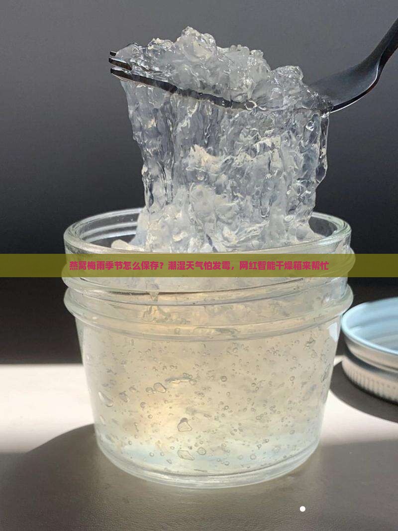 燕窝梅雨季节怎么保存？潮湿天气怕发霉，网红智能干燥箱来帮忙