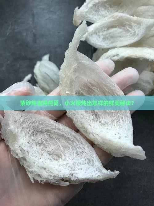 紫砂炖盅炖燕窝，小火慢炖出怎样的鲜美秘诀？