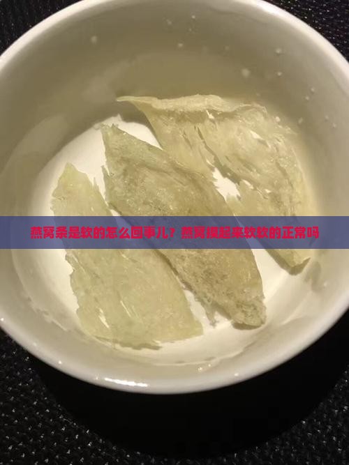 燕窝条是软的怎么回事儿？燕窝摸起来软软的正常吗