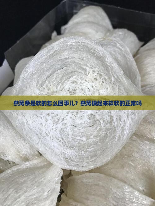 燕窝条是软的怎么回事儿？燕窝摸起来软软的正常吗