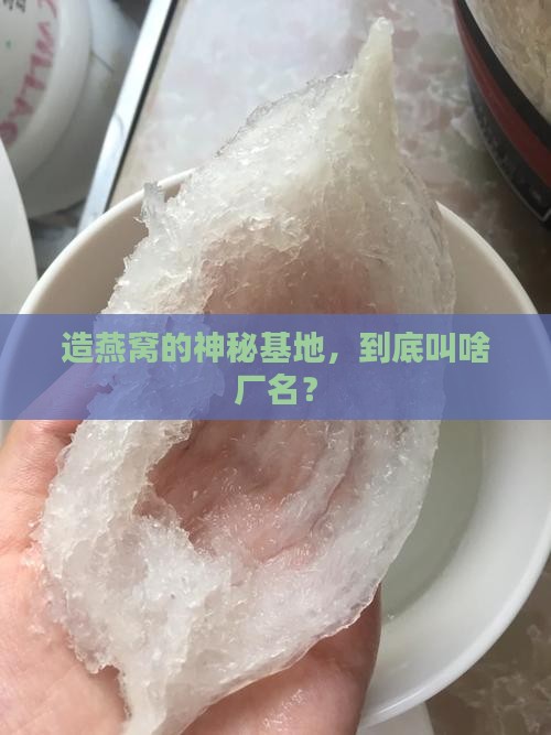 造燕窝的神秘基地，到底叫啥厂名？