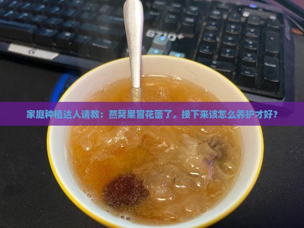 家庭种植达人请教：燕窝果冒花蕾了，接下来该怎么养护才好？