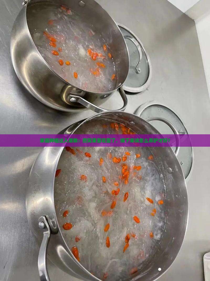 家庭种植达人请教：燕窝果冒花蕾了，接下来该怎么养护才好？