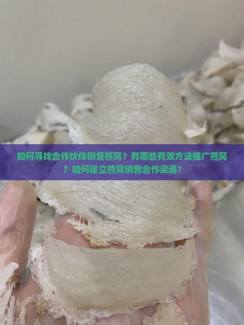 如何寻找合作伙伴销售燕窝？有哪些有效方法推广燕窝？如何建立燕窝销售合作渠道？