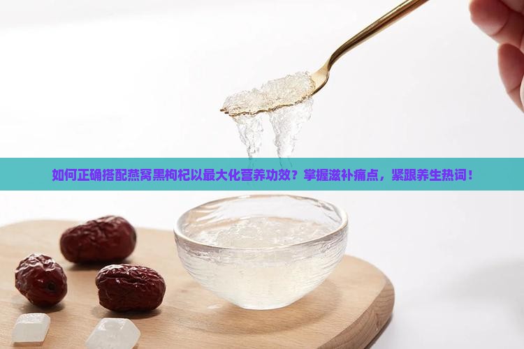 如何正确搭配燕窝黑枸杞以最大化营养功效？掌握滋补痛点，紧跟养生热词！