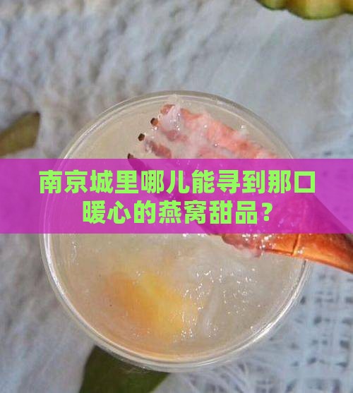 南京城里哪儿能寻到那口暖心的燕窝甜品？