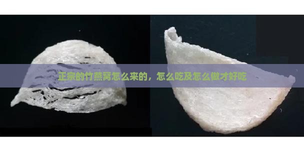 正宗的竹燕窝怎么来的，怎么吃及怎么做才好吃