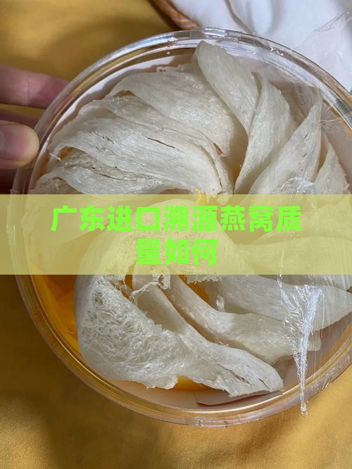 广东进口溯源燕窝质量如何