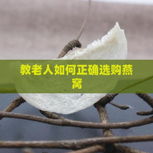 教老人如何正确选购燕窝
