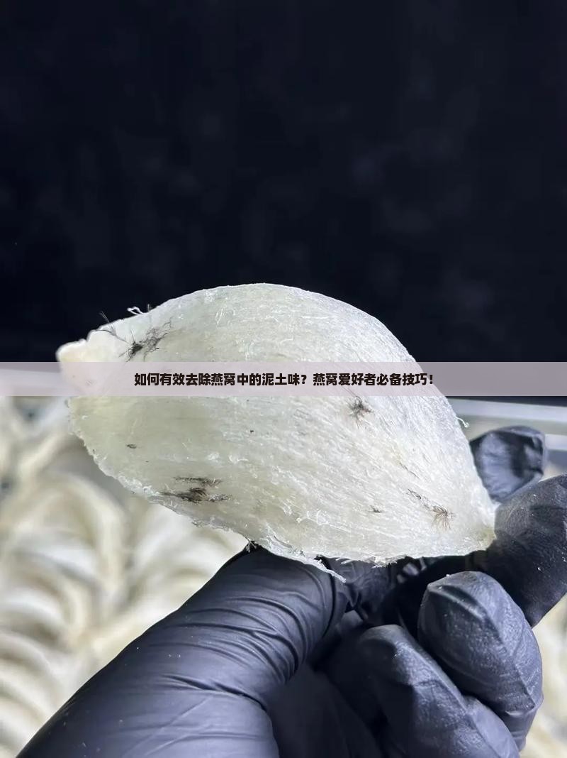 如何有效去除燕窝中的泥土味?燕窝爱好者必备技巧! 如何有效去除燕窝中的泥土味?燕窝爱好者必备技巧!