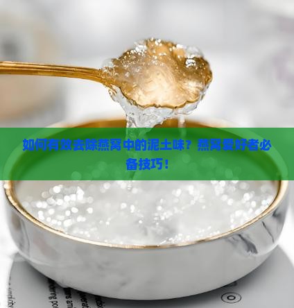 如何有效去除燕窝中的泥土味?燕窝爱好者必备技巧! 如何有效去除燕窝中的泥土味?燕窝爱好者必备技巧!