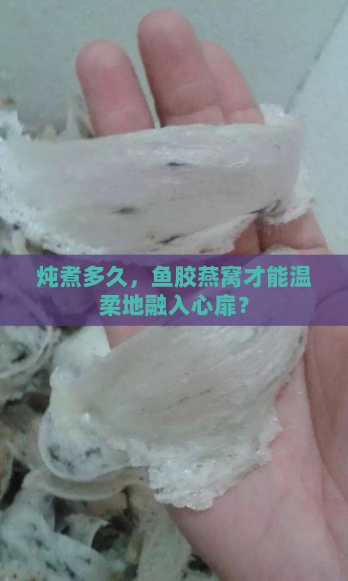 炖煮多久，鱼胶燕窝才能温柔地融入心扉？