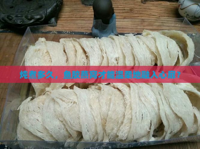炖煮多久，鱼胶燕窝才能温柔地融入心扉？