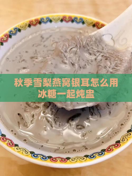 秋季雪梨燕窝银耳怎么用冰糖一起炖盅