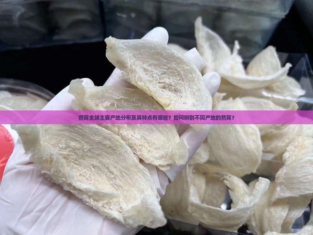燕窝全球主要产地分布及其特点有哪些？如何辨别不同产地的燕窝？