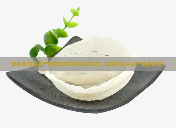 燕窝全球主要产地分布及其特点有哪些？如何辨别不同产地的燕窝？