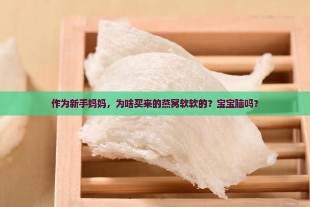 作为新手妈妈，为啥买来的燕窝软软的？宝宝脑吗？