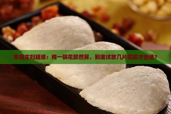 家庭主妇疑惑：炖一锅花胶燕窝，到底该放几片花胶才合适？