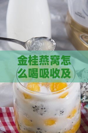 金桂燕窝怎么喝吸收及其营养？
