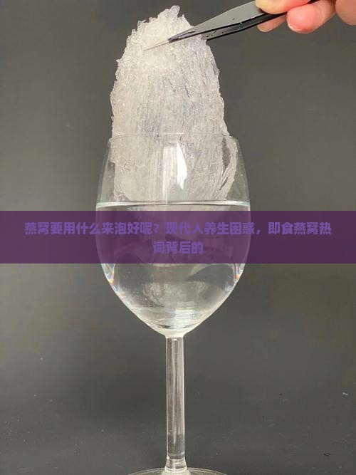 燕窝要用什么来泡好呢？现代人养生困惑，即食燕窝热词背后的