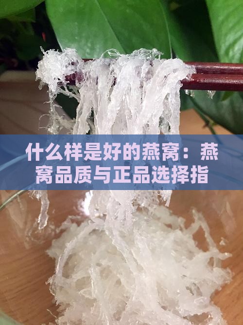 什么样是好的燕窝：燕窝品质与正品选择指南