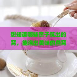 想知道哪些燕子筑出的窝，能泡出美味的燕窝饮品吗？