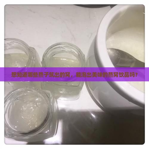 想知道哪些燕子筑出的窝，能泡出美味的燕窝饮品吗？
