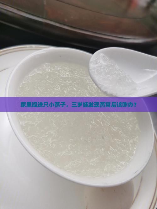 家里闯进只小燕子，三岁娃发现燕窝后该咋办？