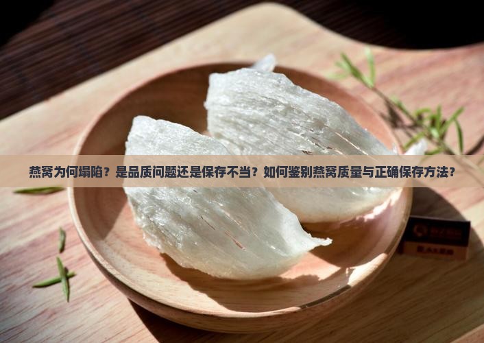 燕窝为何塌陷？是品质问题还是保存不当？如何鉴别燕窝质量与正确保存方法？