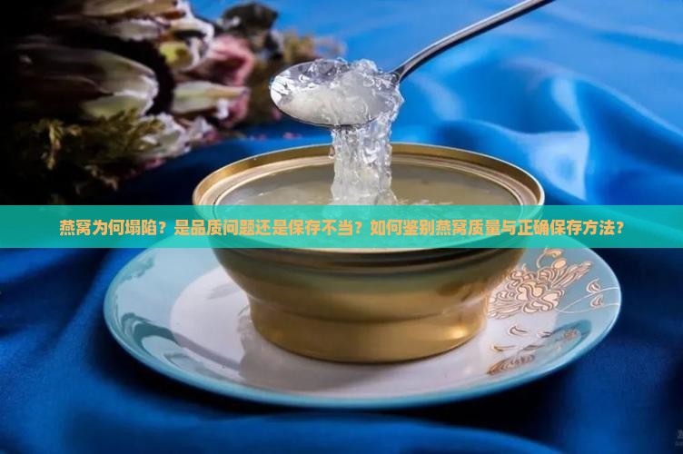 燕窝为何塌陷？是品质问题还是保存不当？如何鉴别燕窝质量与正确保存方法？
