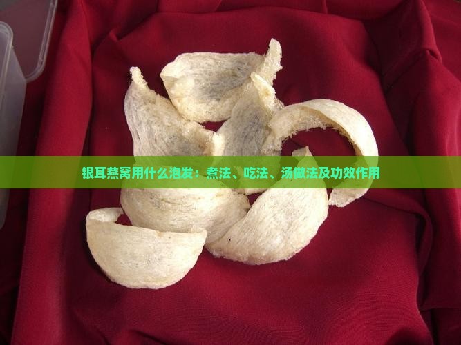 银耳燕窝用什么泡发：煮法、吃法、汤做法及功效作用