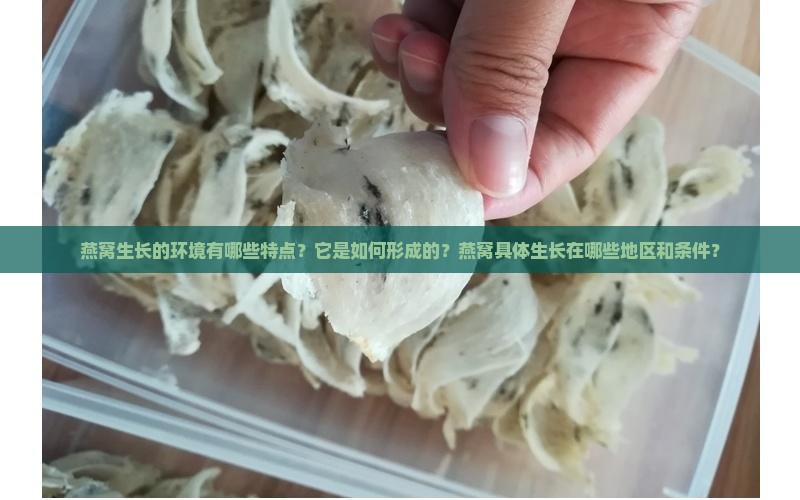 燕窝生长的环境有哪些特点？它是如何形成的？燕窝具体生长在哪些地区和条件？
