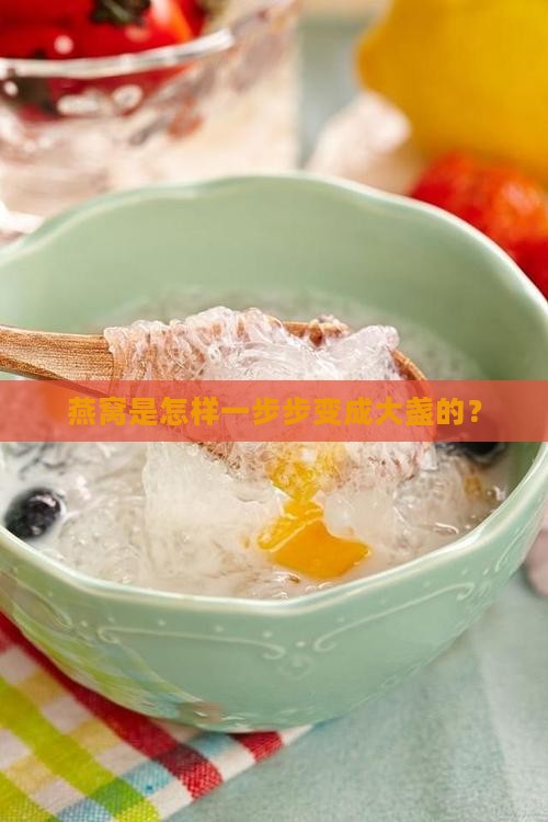 燕窝是怎样一步步变成大盏的？