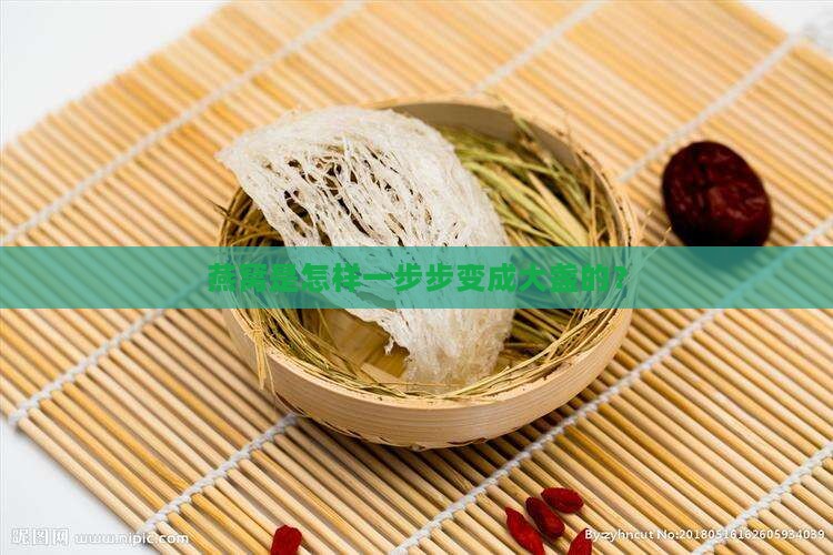 燕窝是怎样一步步变成大盏的？