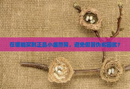 在哪能买到正品小盏燕窝，避免假冒伪劣困扰？