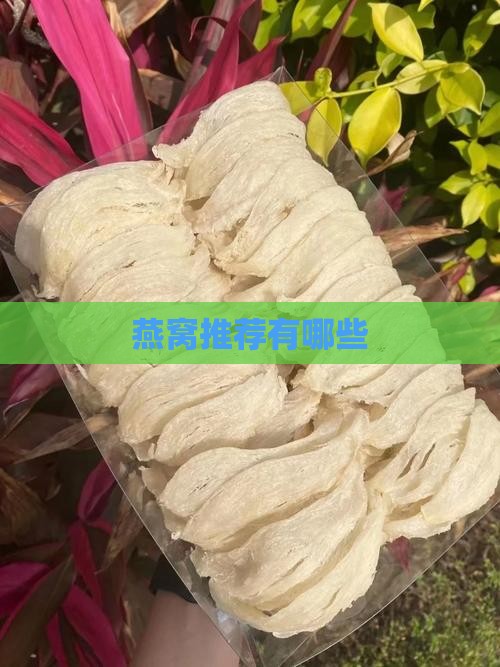 燕窝推荐有哪些
