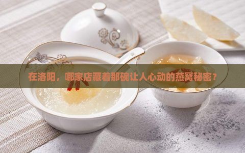 在洛阳，哪家店藏着那碗让人心动的燕窝秘密？