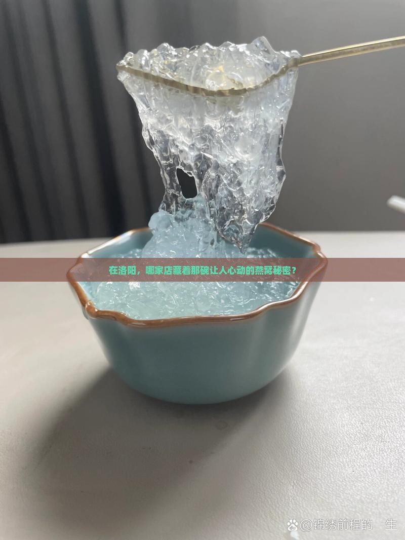 在洛阳，哪家店藏着那碗让人心动的燕窝秘密？