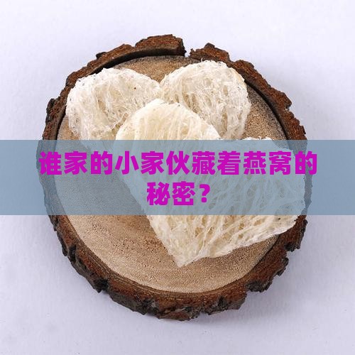 谁家的小家伙藏着燕窝的秘密？